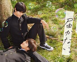 企业网站关键优化案例